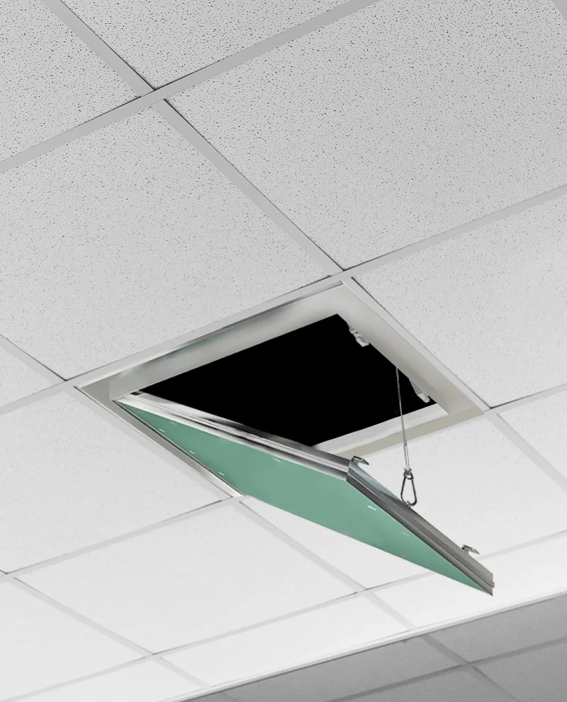 home-Trap-door
